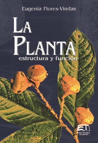 Eugenia Flores Vindas. La planta: estructura y funci?n