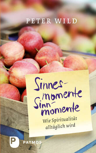 Peter  Wild. Sinnesmomente - Sinnmomente