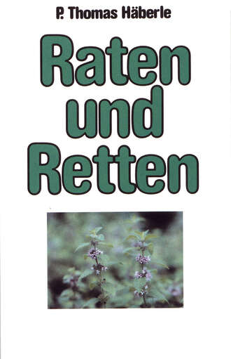 Thomas  Haberle. Raten und Retten