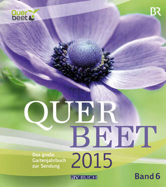 Julia Schade. Querbeet 2015 (6)