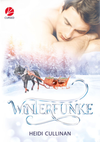 Heidi Cullinan. Winterfunke