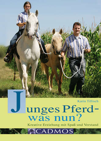 Karin Tillisch. Junges Pferd - was nun?