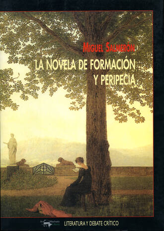 Miguel Salmer?n. La novela de formaci?n y peripecia