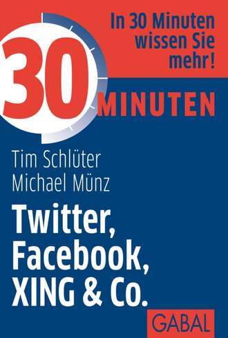 Michael Munz. 30 Minuten Twitter, Facebook, XING & Co.