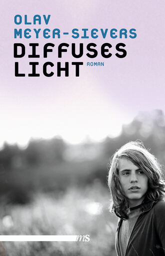 Olav Meyer-Sievers. Diffuses Licht