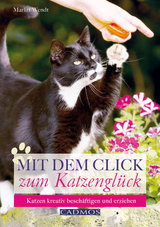 Marlitt Wendt. Mit dem Click zum Katzengl?ck