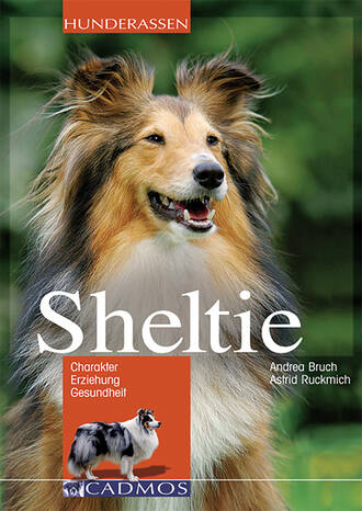 Andrea Bruch. Sheltie