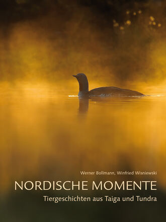 Werner  Bollmann. Nordische Momente