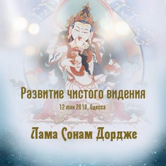 Обложка книги «Развитие чистого видения»