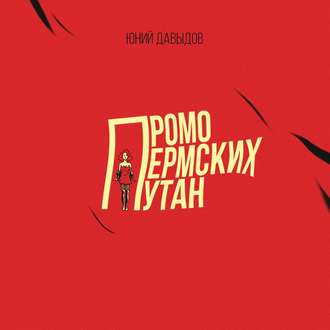 Обложка книги «Промо пермских путан»
