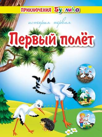 Обложка книги «Приключения Буслика. Первый полёт»