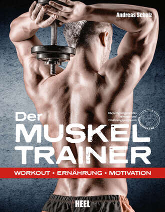 Andreas  Scholz. Der Muskeltrainer