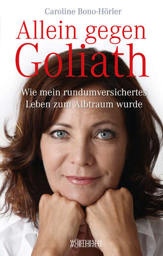 Marc  Zollinger. Allein gegen Goliath