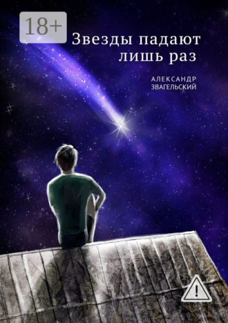 Обложка книги «Звезды падают лишь раз»