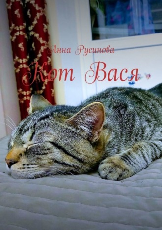Обложка книги «Кот Вася»