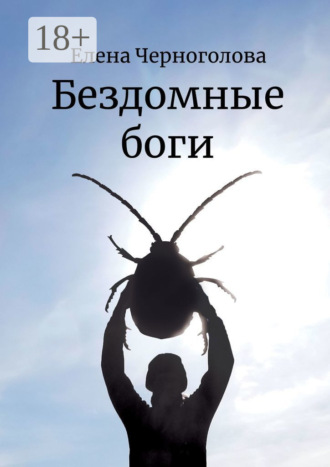 Обложка книги «Бездомные боги»