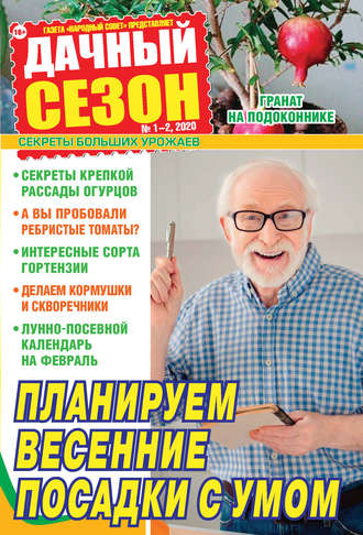 Обложка книги «Дачный сезон №01-02/2020»