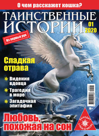 Обложка книги «Таинственные истории №01/2020»