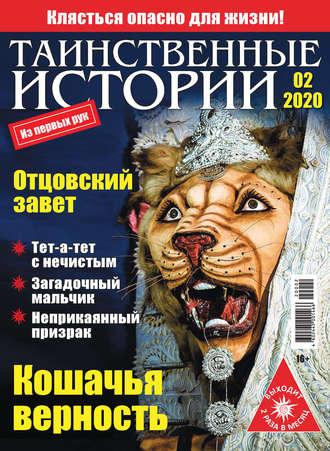 Обложка книги «Таинственные истории №02/2020»
