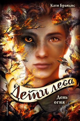 Обложка книги «День огня»