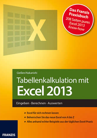 Hiroshi  Nakanishi. Tabellenkalkulation mit Excel 2013