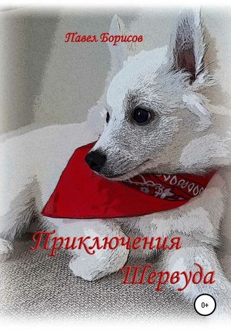 Обложка книги «Приключения Шервуда»