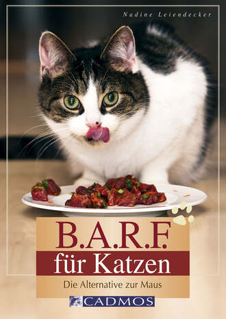 Nadine Leiendecker. B.A.R.F. f?r Katzen