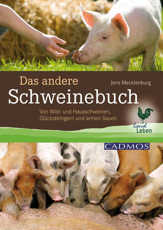 Jens  Mecklenburg. Das andere Schweinebuch