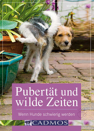 Martina  Nau. Pubert?t und wilde Zeiten