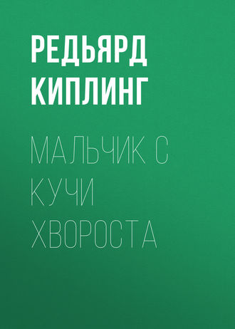Обложка книги «Мальчик с кучи хвороста»