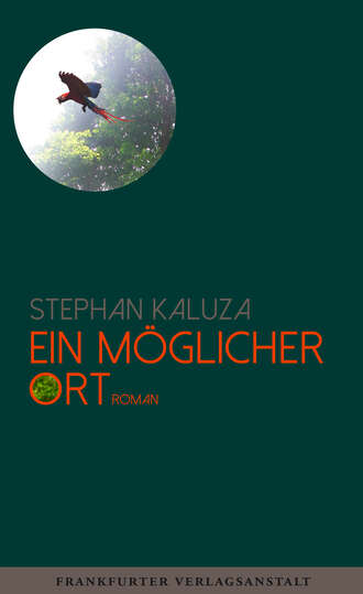 Stephan Kaluza. Ein m?glicher Ort