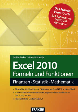 Hiroshi  Nakanishi. Excel 2010 Formeln und Funktionen