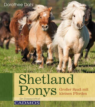 Dorothee Dahl. Shetlandponys