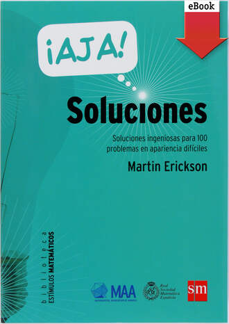 Martin Erickson J.. ?Aj?! Soluciones