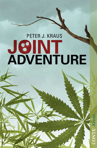 Peter J.  Kraus. Joint Adventure