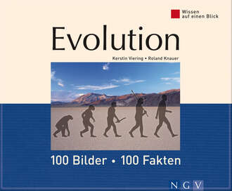 Kerstin  Viering. Evolution: 100 Bilder - 100 Fakten