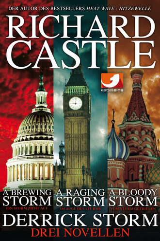 Richard  Castle. Derrick Storm: Drei Novellen