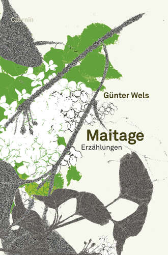 Gunter  Wels. Maitage