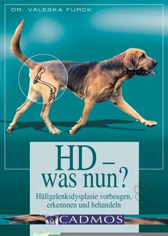 Dr. Valeska  Furck. HD - was nun