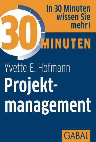 Yvette E. Hofmann. 30 Minuten Projektmanagement