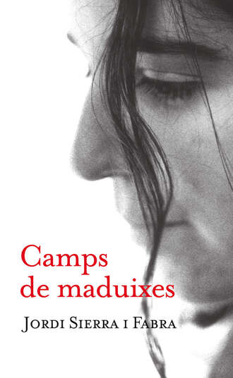 Jordi Sierra I Fabra. Camps de maduixes