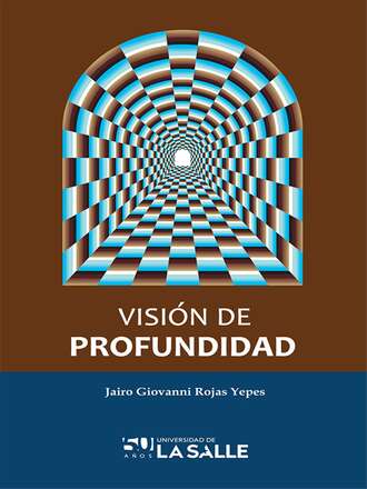 Jairo Giovanni Rojas Yepes. Visi?n de profundidad