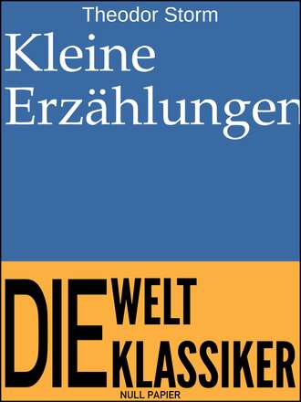 Theodor Storm. Kleine Erz?hlungen