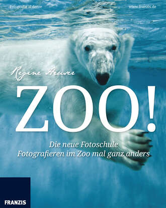 Regine  Heuser. Zoo