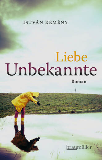 Istvan  Kemeny. Liebe Unbekannte