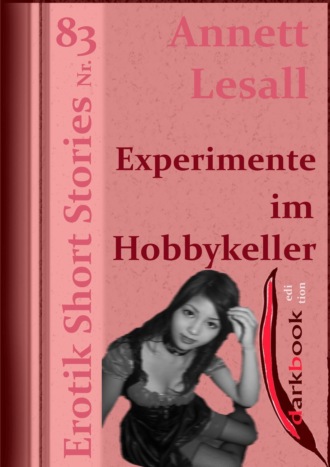 Annett Lesall. Experimente im Hobbykeller