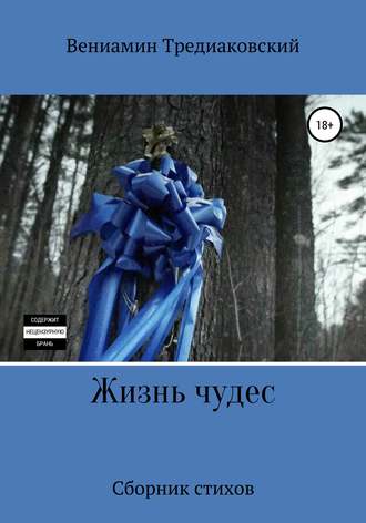 Обложка книги «Жизнь чудес»