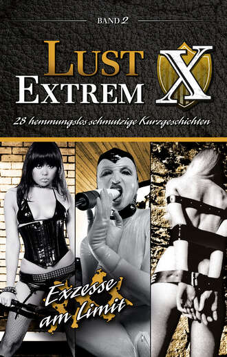 A.D.  Smith. Lust Extrem 2: Exzesse am Limit