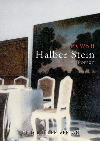 Iris  Wolff. Halber Stein