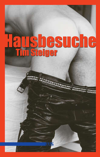 Tim Steiger. Hausbesuche